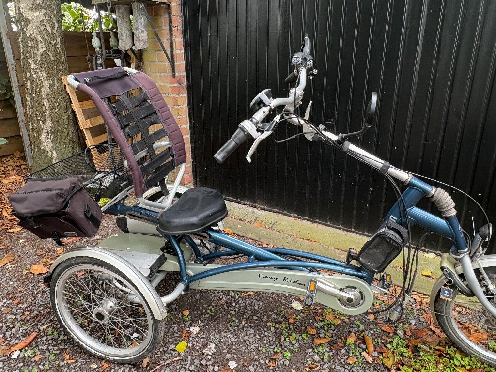 Elektronische driewieler, Fietsen en Brommers, Gebruikt, Verstelbare zitting, Schijfrem, Ophalen