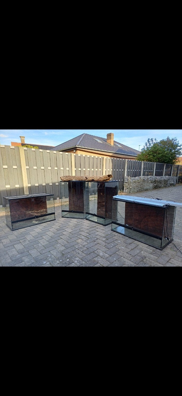 4 Exoterra terraria - Moet weg door verhuis - Lievegem