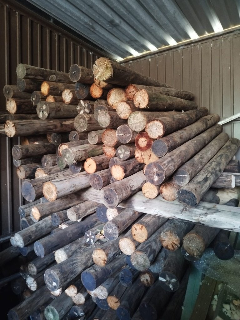 Paaltjes + 1 m, Tuin en Terras, Ophalen