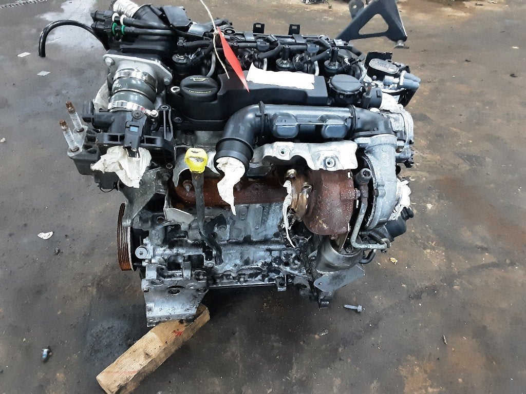 MOTEUR Ford Focus 2 Wagon (01-2004/09-2012) (C16DD0X), Mevr. I. Hauben, Rue de l'Espoir 34 34
4030  GRIVEGNÉE, BE, Info@Collignon.be