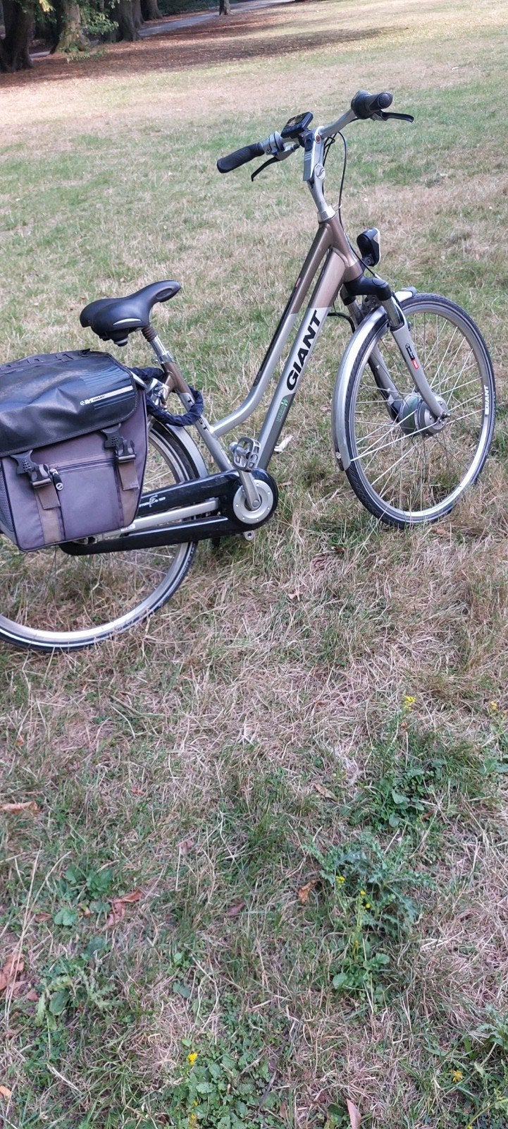 electrische fiets merk giant bereikbaar 30km tot 40, Enlèvement, Giant