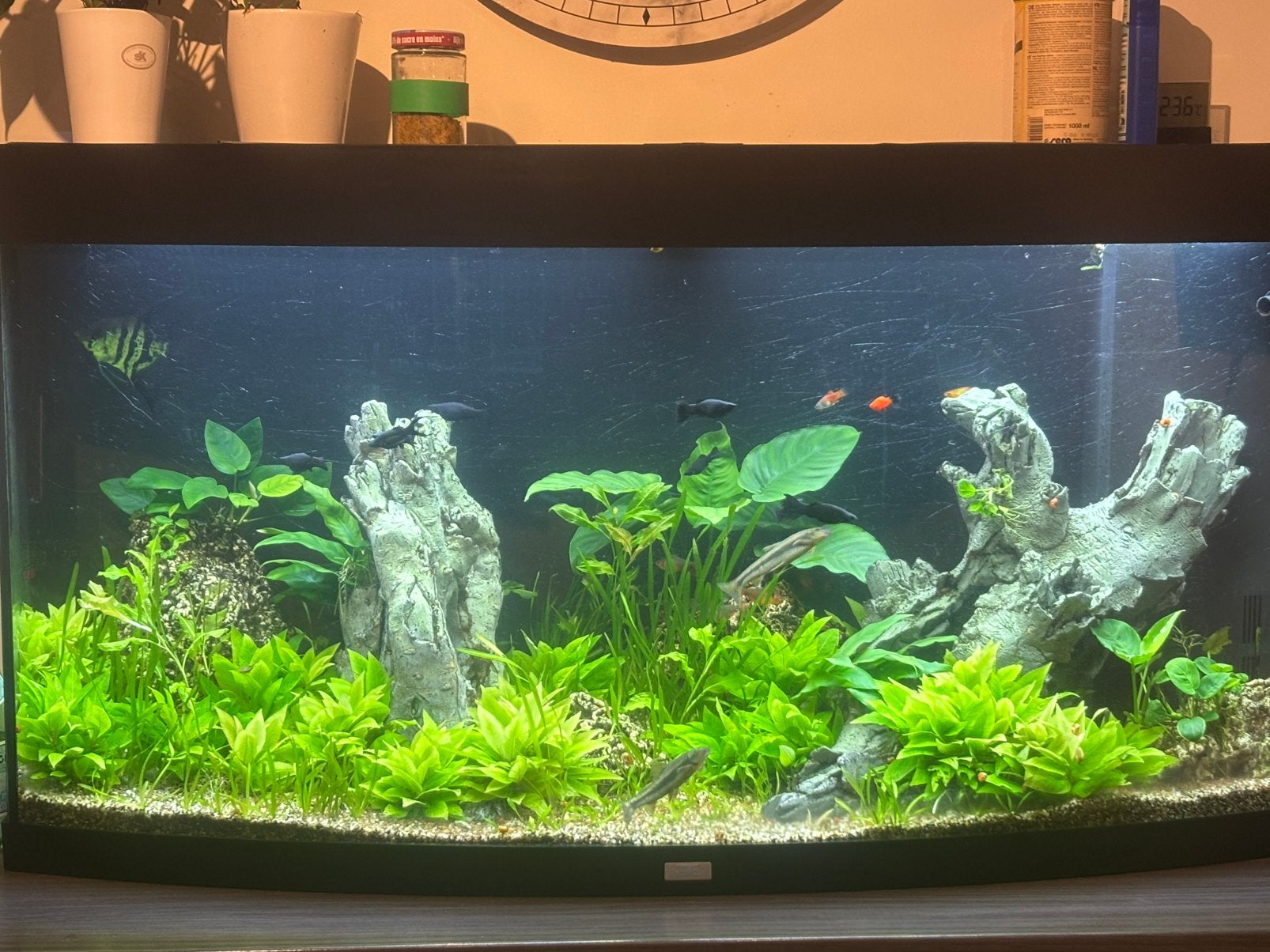 Juwel aquarium – Compleet en instapklaar, Dieren en Toebehoren, Ophalen, Decoratie, Zo goed als nieuw, Verwarming