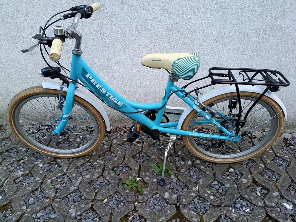 Kinderfiets 20 inch, Fietsen en Brommers, Ophalen, 20 inch