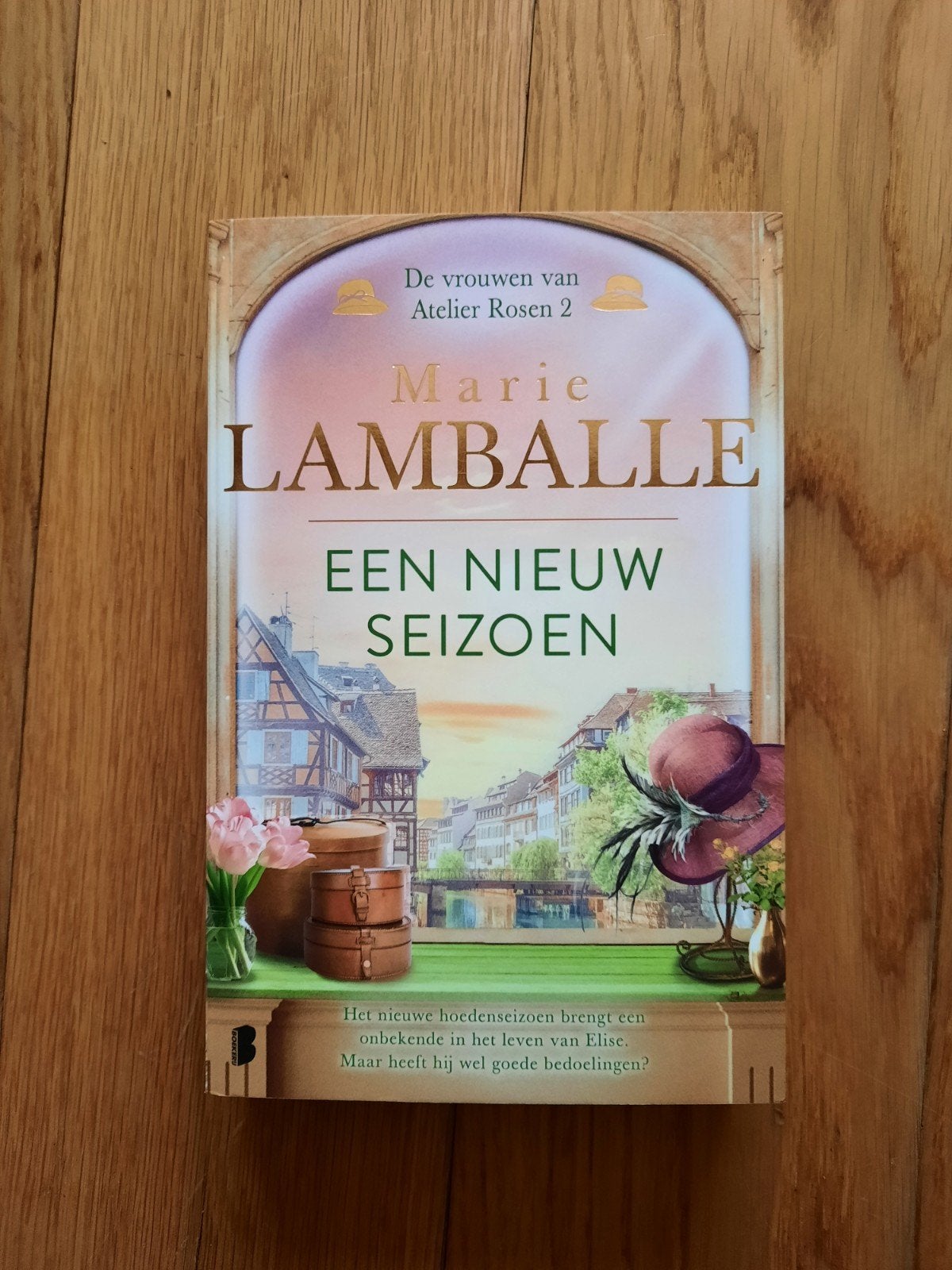 Roman Een nieuw seizoen. Marie Lamballe, Livres, Romans, Enlèvement, Comme neuf