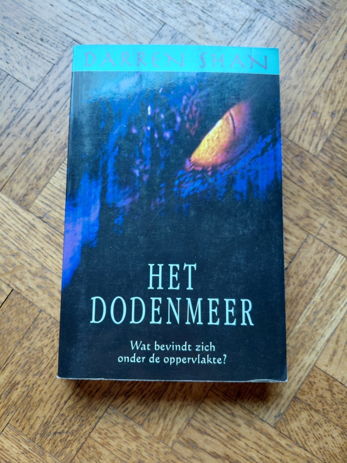 Darren Shan: Het dodenmeer, Ophalen of Verzenden, Gelezen