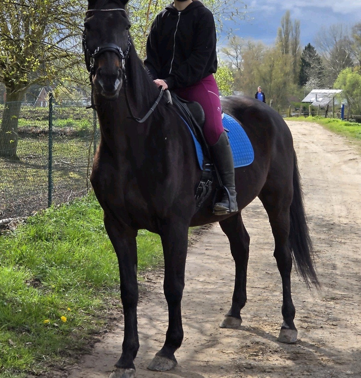 Dekje, Dieren en Toebehoren, Ophalen of Verzenden, Blauw