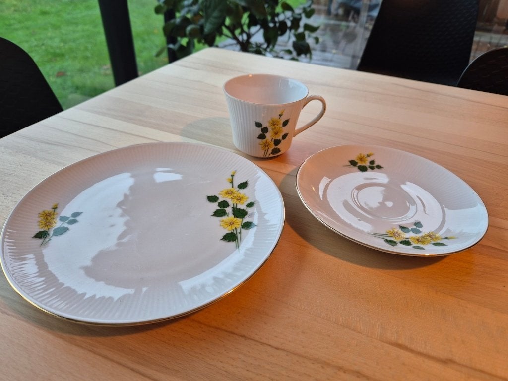 koffieservies Bavaria Winterling, Ophalen