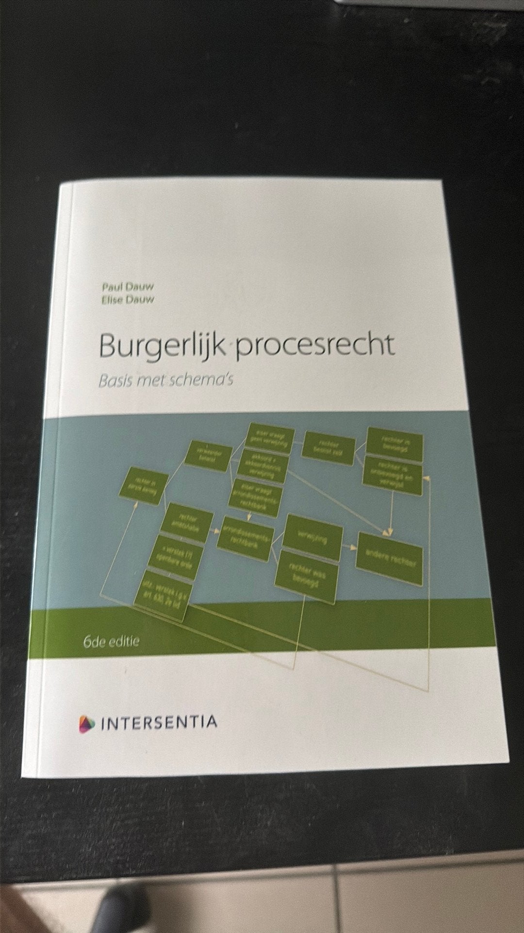 Paul Dauw - Burgerlijk procesrecht (zesde editie), Boeken, Overige wetenschappen, Paul Dauw; Elise Dauw, Nieuw, Ophalen of Verzenden