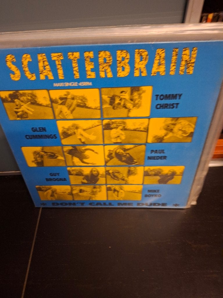12" - scatterbrain - don't call me dude - vak 3, Ophalen of Verzenden, Zo goed als nieuw, Hardcore, Overige typen
