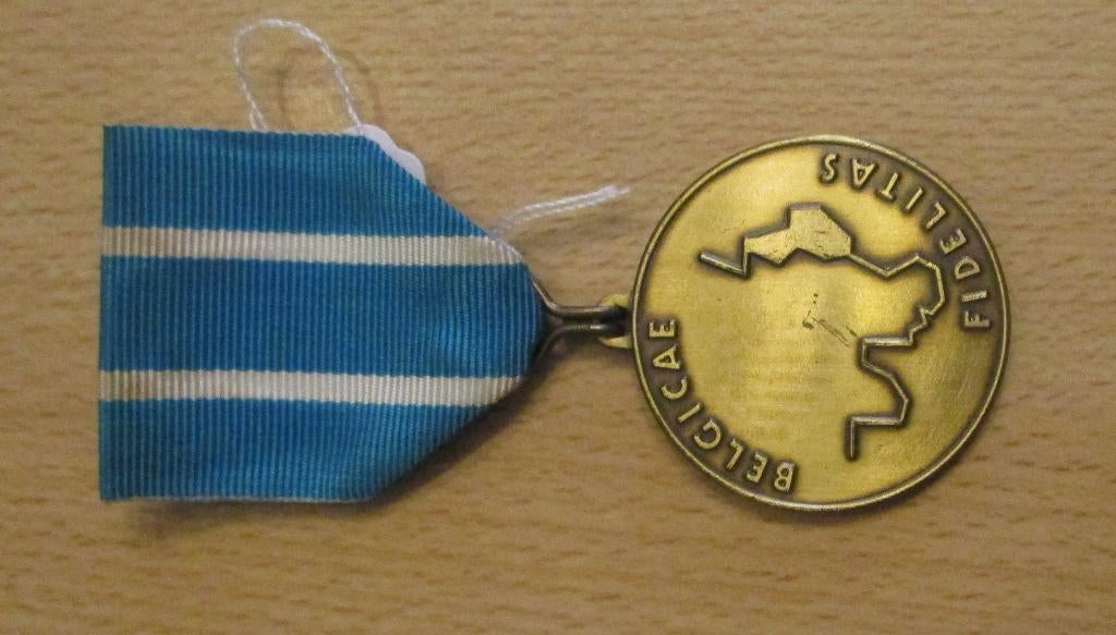 Médaille du résistant au Nazisme, Enlèvement ou Envoi, Armée de terre, Ruban, Médaille ou Ailes