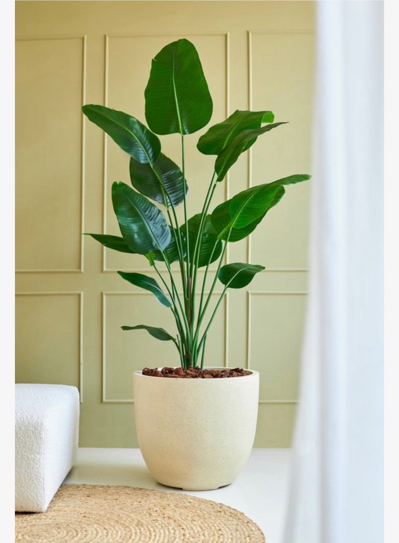 Kunstplant Strelitzia XXL 150x180, Ophalen