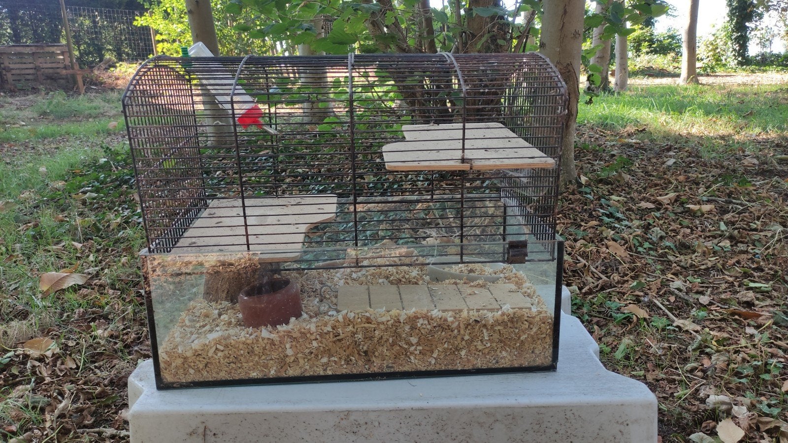 Kooi voor hamster of cavia, Ophalen, Gebruikt, Kooi, Cavia