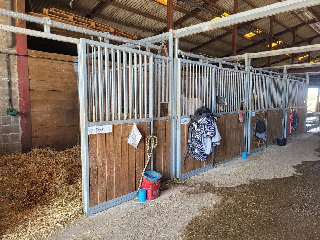 2 boxes se libèrent dans notre écurie..., Animaux & Accessoires, 4 chevaux ou poneys ou plus