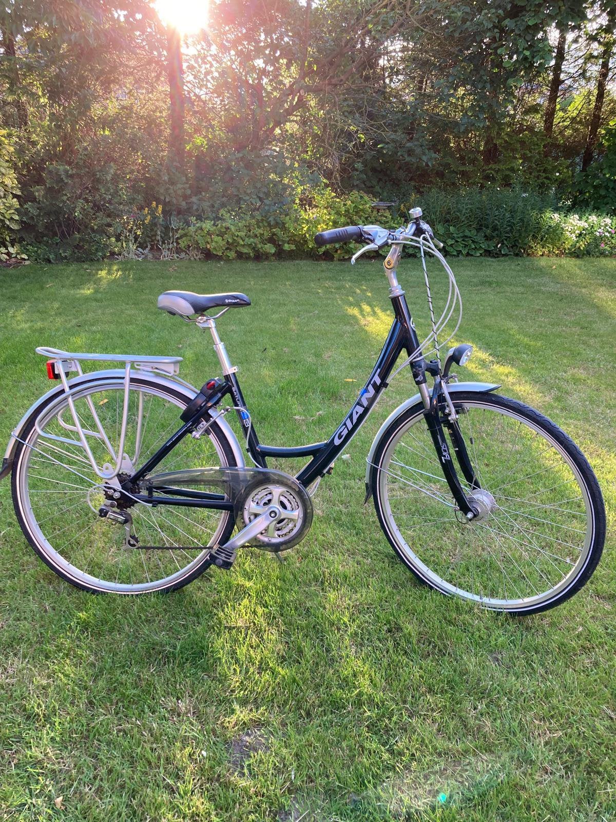 Gaint damesfiets, Ophalen, Velgrem, Versnellingen, Giant