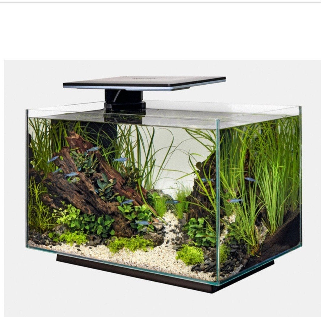 Aquarium Superfish Quadro 70 L, Enlèvement, Comme neuf, Superfish