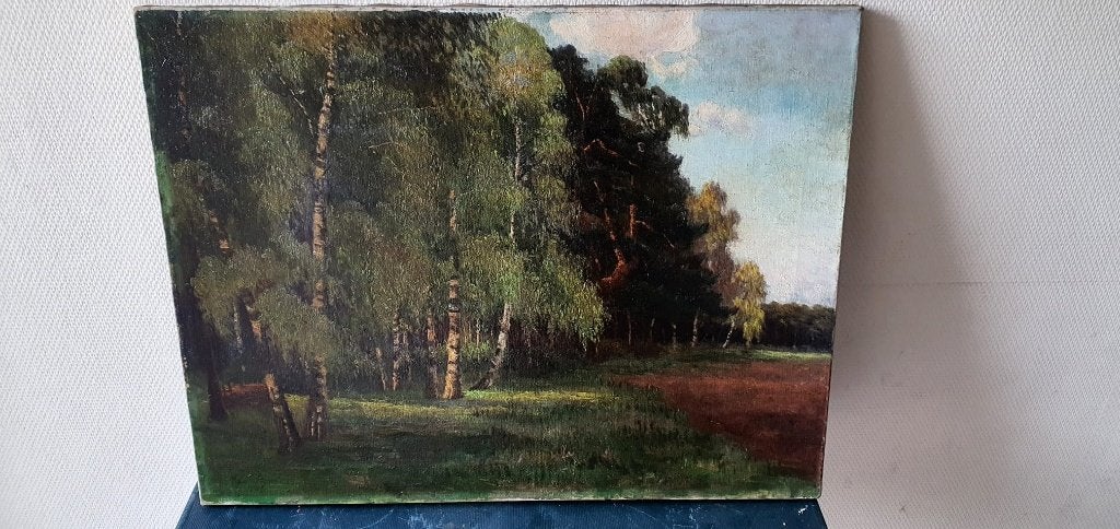 Paysage avec des bouleaux, peinture à l'huile, signée Stein?, Antiquités & Art, Peinture à l'huile, Paysage, Enlèvement, Toile