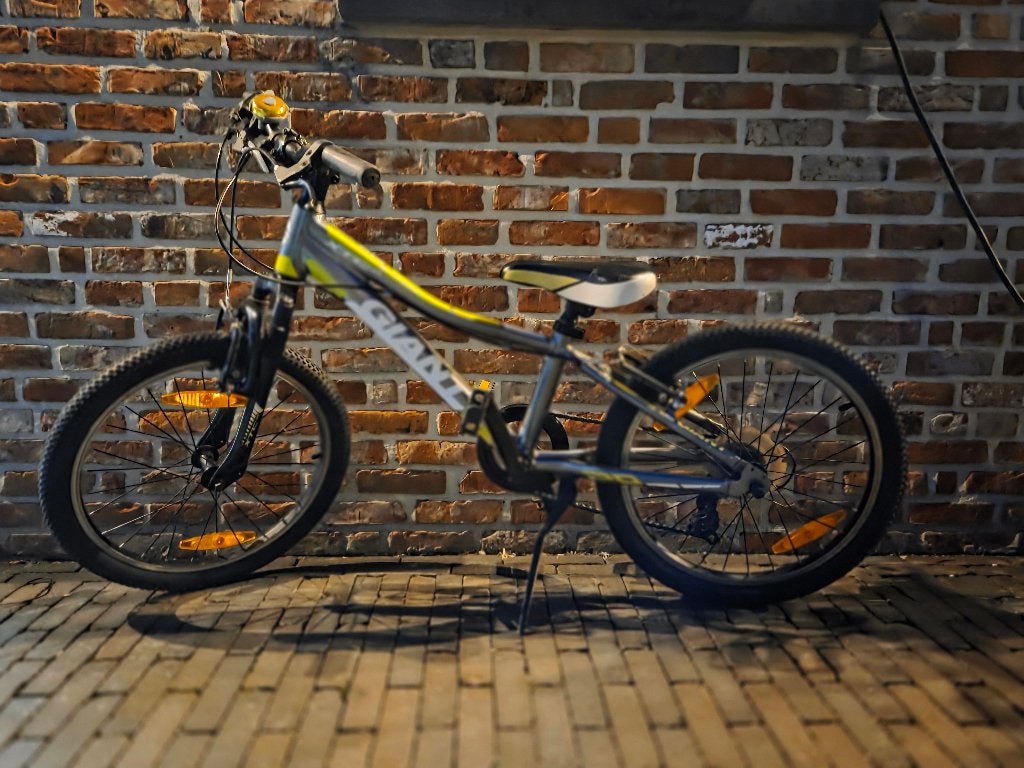 Kinderfiets Giant 20inch, Fietsen en Brommers, Fietsen | Jongens, Ophalen, Gebruikt, Velgrem, Giant