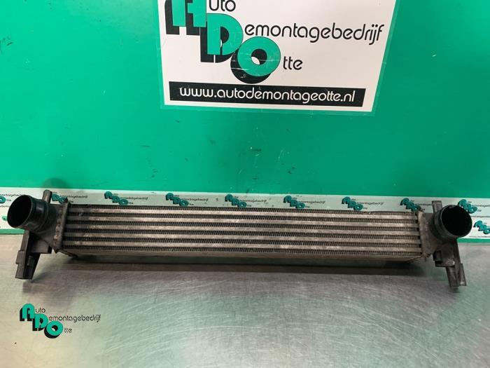 Intercooler d'un Seat Ibiza (Ibiza 08-), -, 3 mois de garantie, Utilisé, -