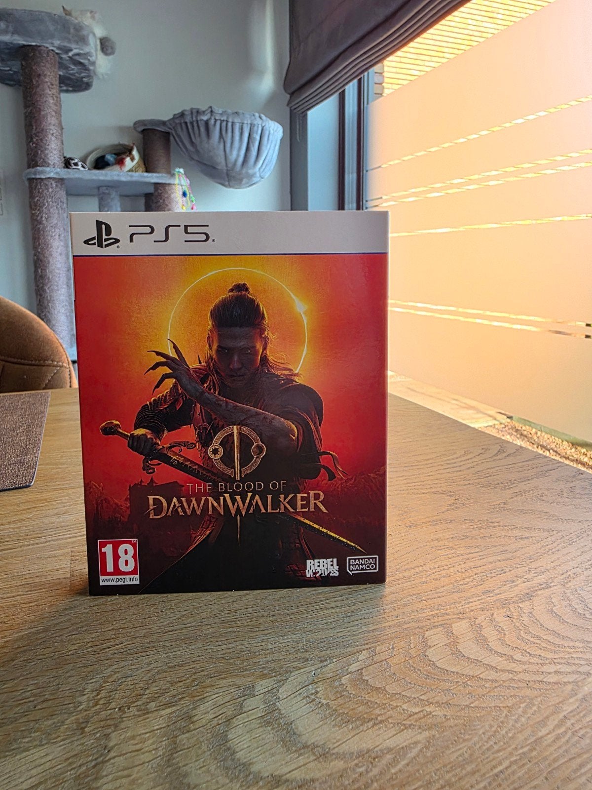 The Blood Of Dawnwalker PS5 Day One Edition 40€, Ophalen of Verzenden, Zo goed als nieuw, Avontuur en Actie