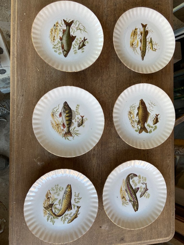 6 vis eet borden, Ophalen