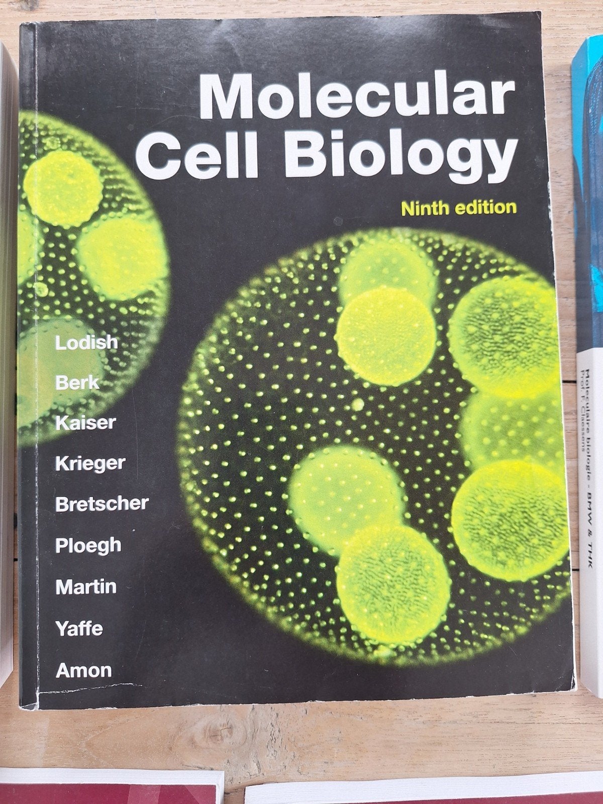 Molecular cell biology ninth edition, Boeken, Ophalen of Verzenden