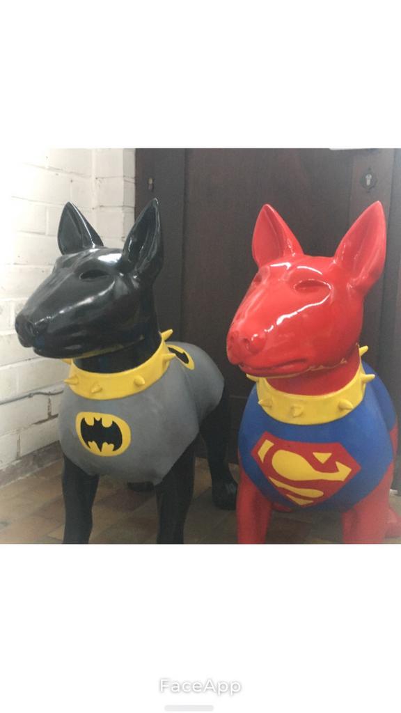 Bull terrier , apart of samen. Schoft 80cm, Animaux & Accessoires, Accessoires pour chiens, Enlèvement, Neuf