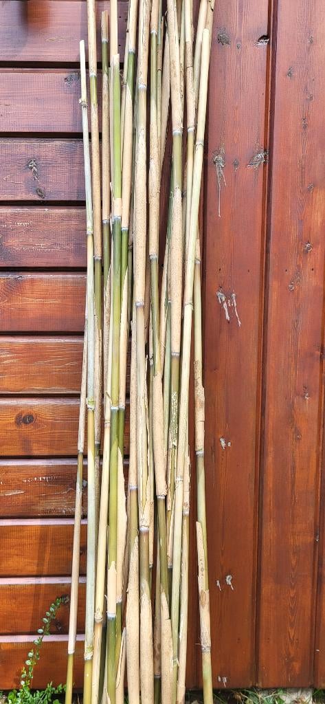 Bamboestokken, Ophalen