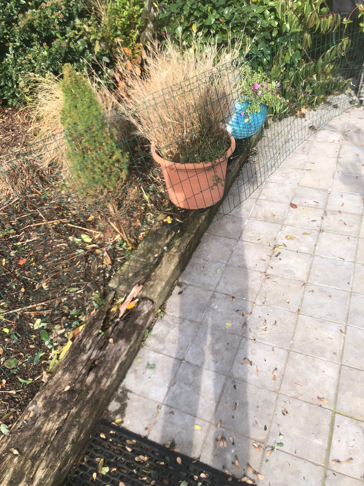 Gratis treinbiels, Tuin en Terras, Ophalen, Gebruikt, Hardhout, 180 tot 250 cm
