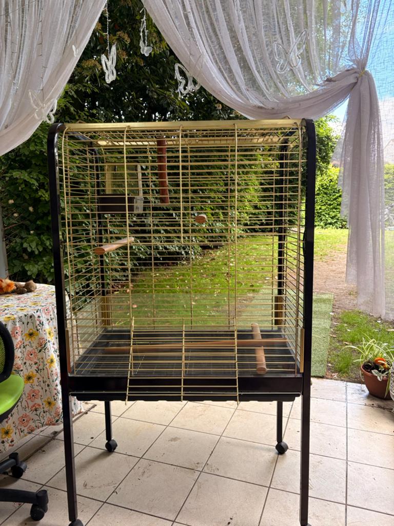 Grote vogelkooi, Dieren en Toebehoren, Vogels | Hokken en Kooien, Ophalen, Zo goed als nieuw, Metaal, Vogelkooi