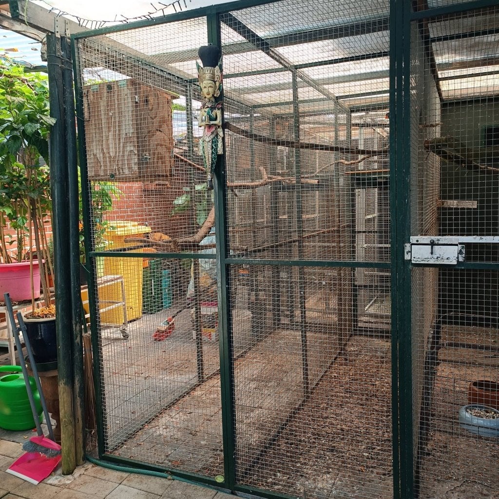 volières, Animaux & Accessoires, Oiseaux | Cages & Volières, Enlèvement, Utilisé, Aluminium, Volière