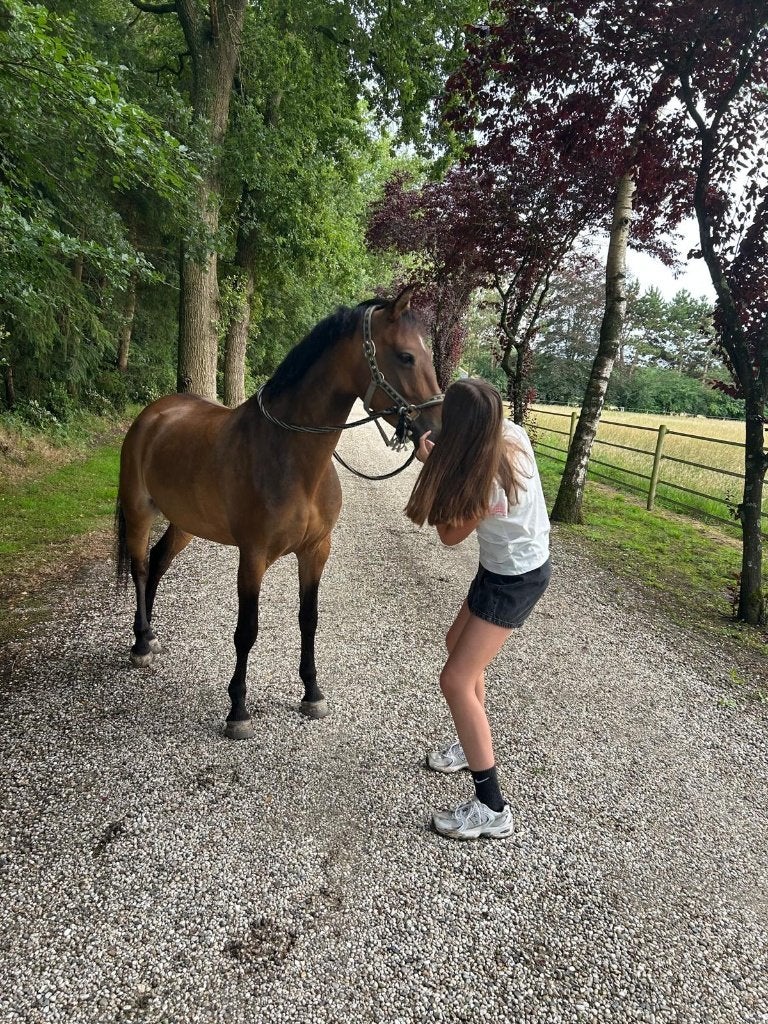 D-pony, Ophalen