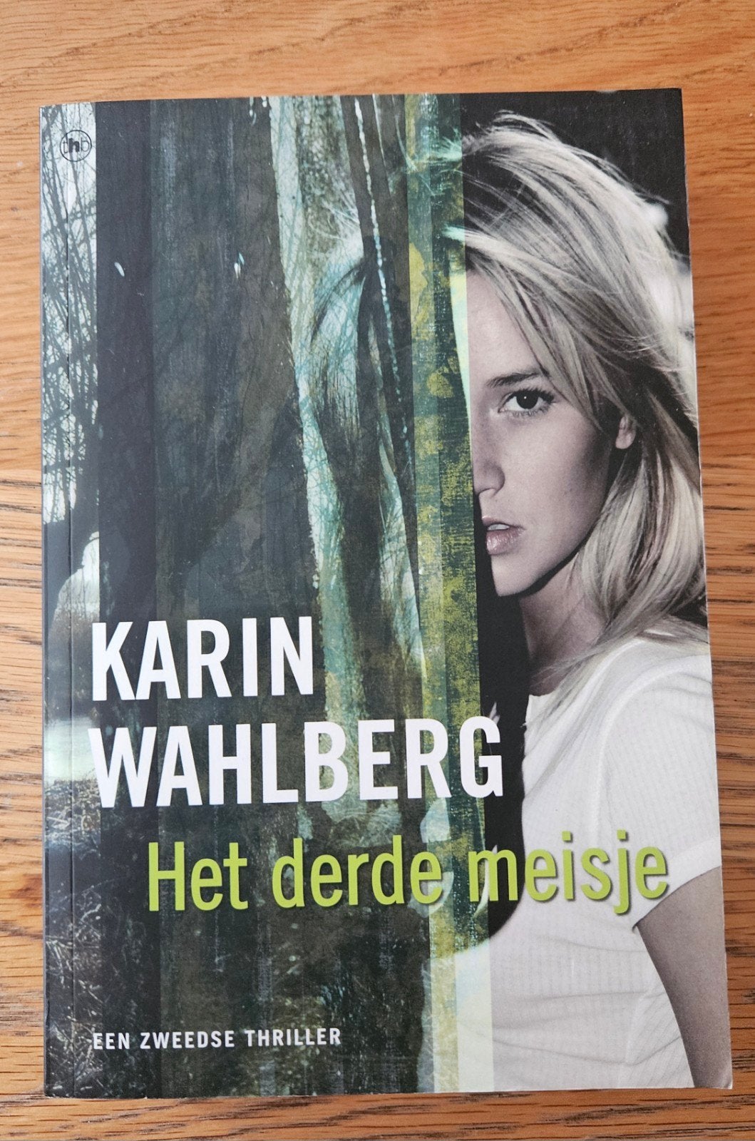 Karin Wahlberg - Het derde meisje, Enlèvement, Karin Wahlberg