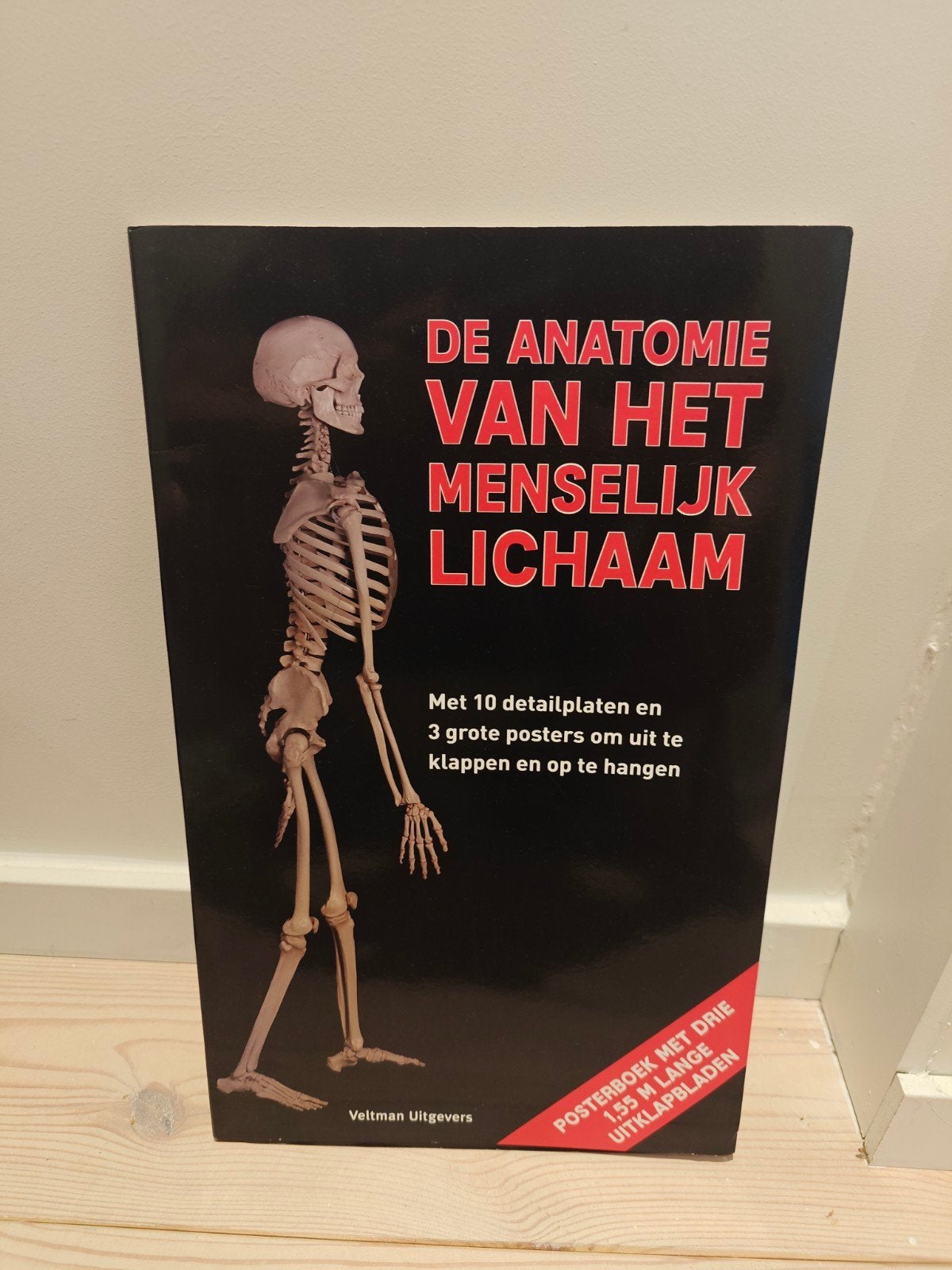 Roland Muhlbauer - De anatomie van het menselijk lichaam, Enlèvement, Roland Muhlbauer; Gerda Raichle