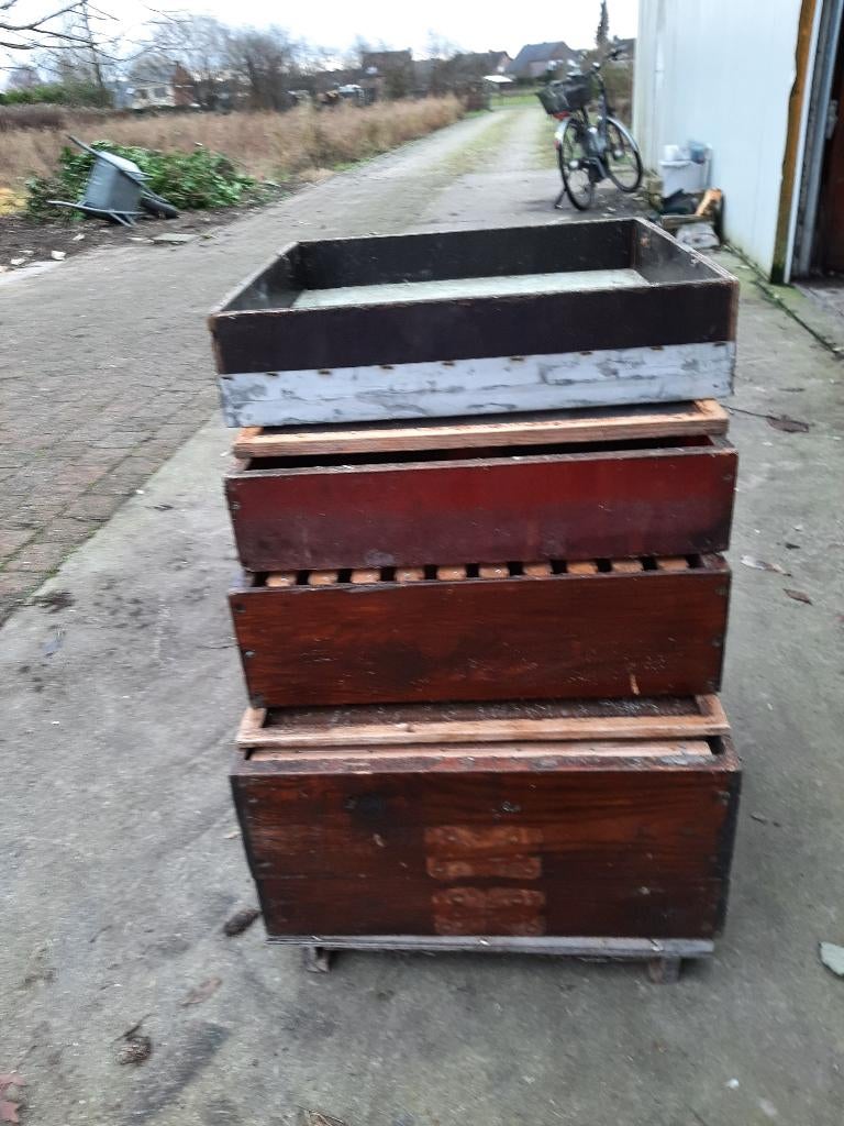bijenkast, Dieren en Toebehoren, Bijen