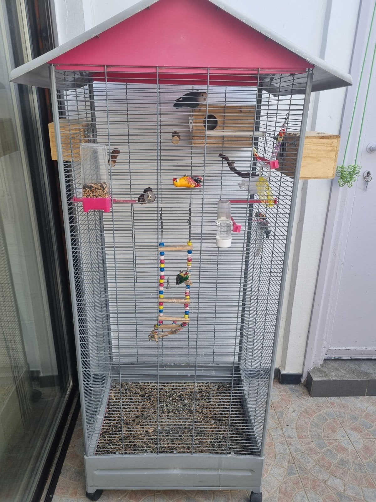 Couple inséparable avec cage.
