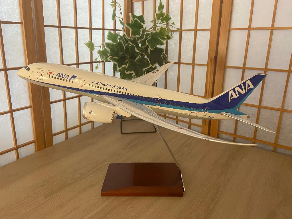 ANA B787  1:100, Ophalen of Verzenden, Nieuw, Schaalmodel
