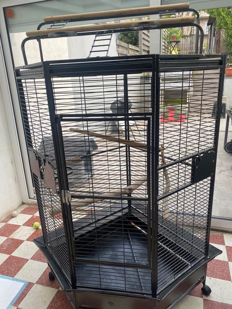 Cage, Enlèvement, Comme neuf