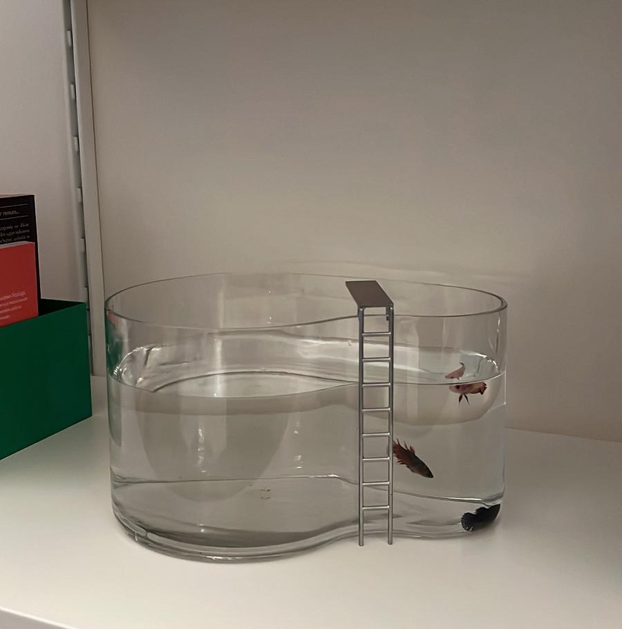 leuke design vissenkom, Ophalen, Zo goed als nieuw, Leeg aquarium