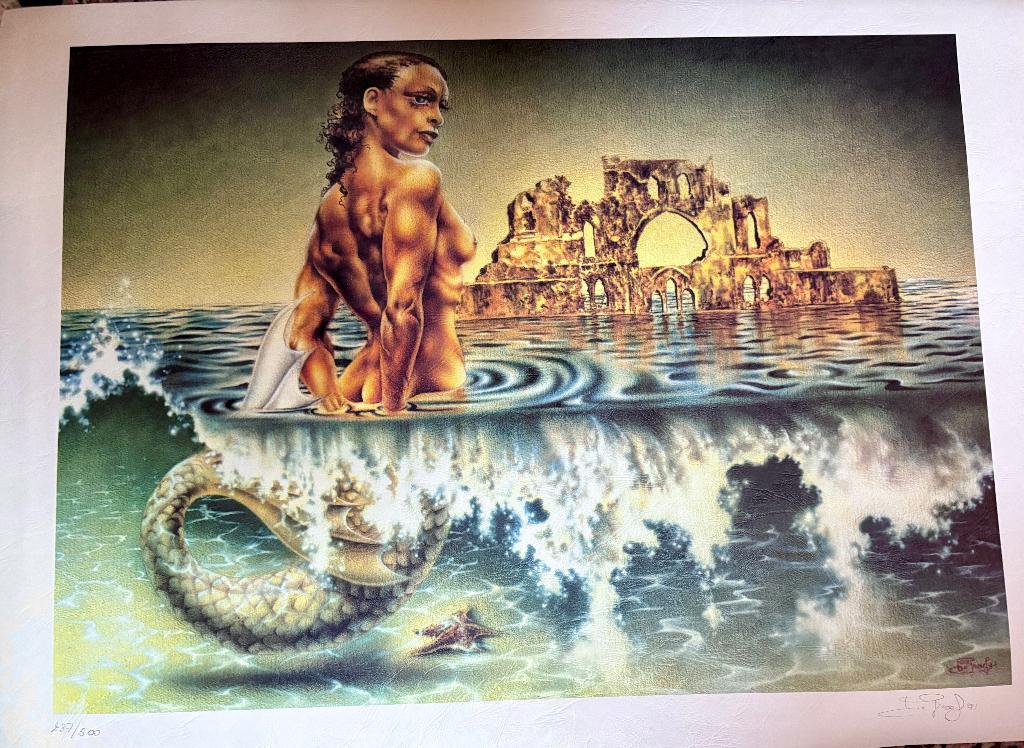 Airbrush zeefdruk David de Graef, Envoi