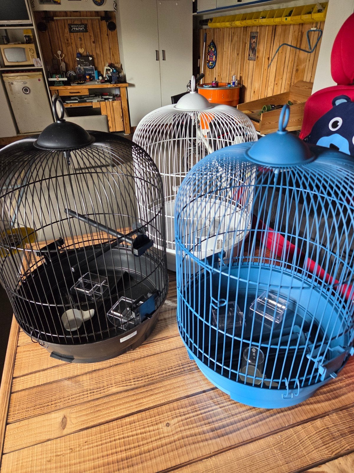 vogelkooi nieuw 3 kleuren beschikbaar, Ophalen, Vogelkooi