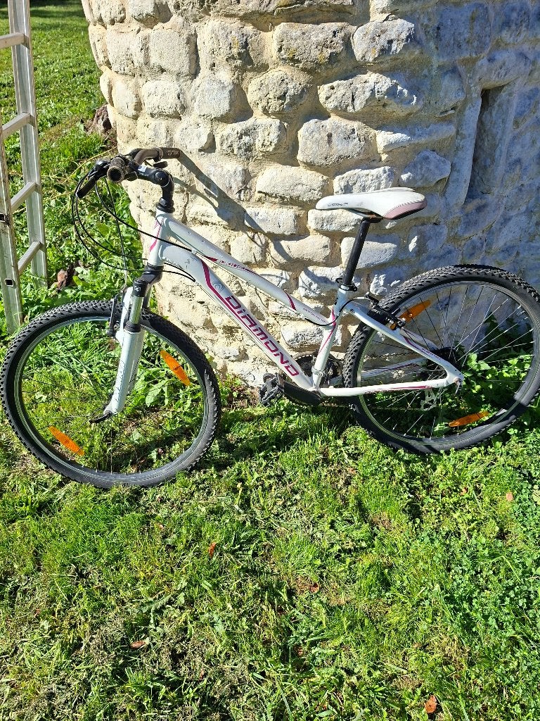 Diamond 26 inch mountainbike voor dames, Fietsen en Brommers, Ophalen, 24 inch of meer, Gebruikt, Staal