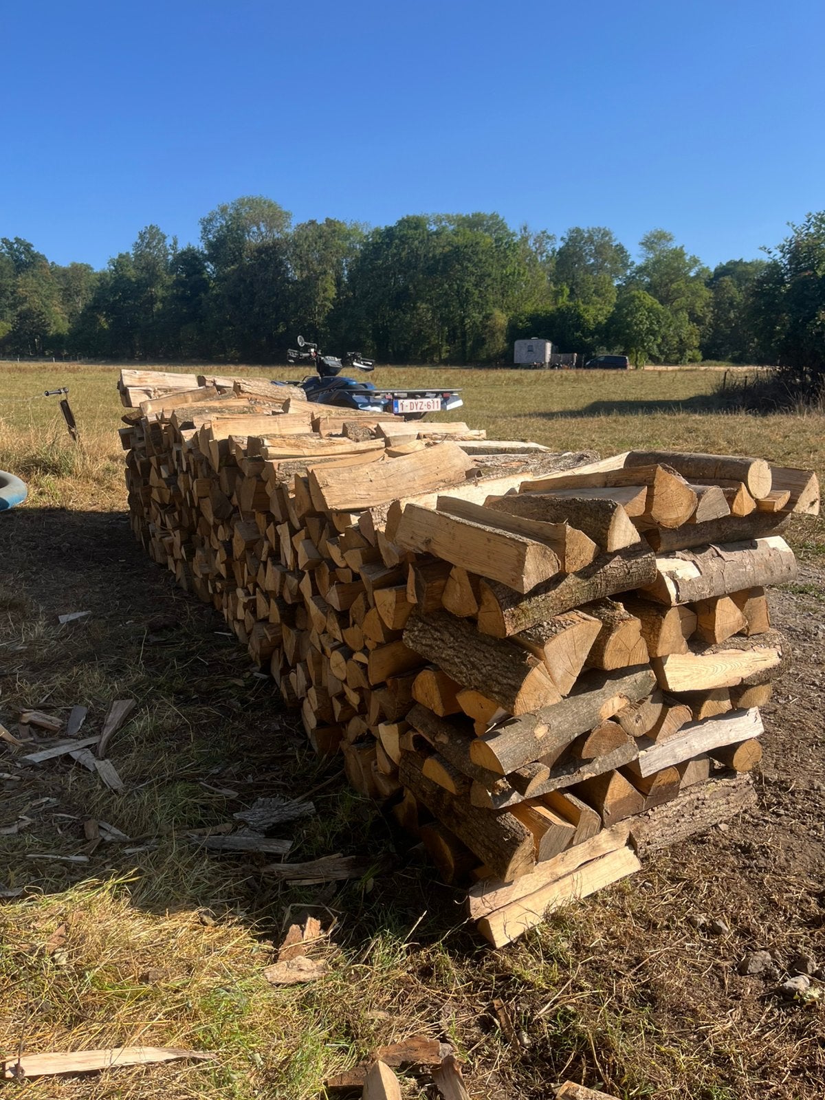 Bois de chauffage belgique, Enlèvement