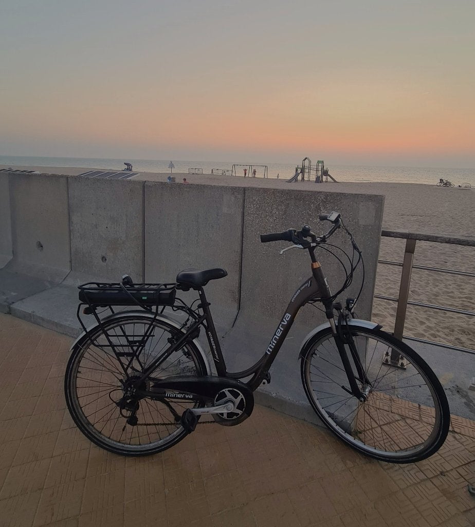 elektrische damesfiets perfecte staat !, Fietsen en Brommers, Ophalen, Velgrem, (Extra) lage instap, Giant