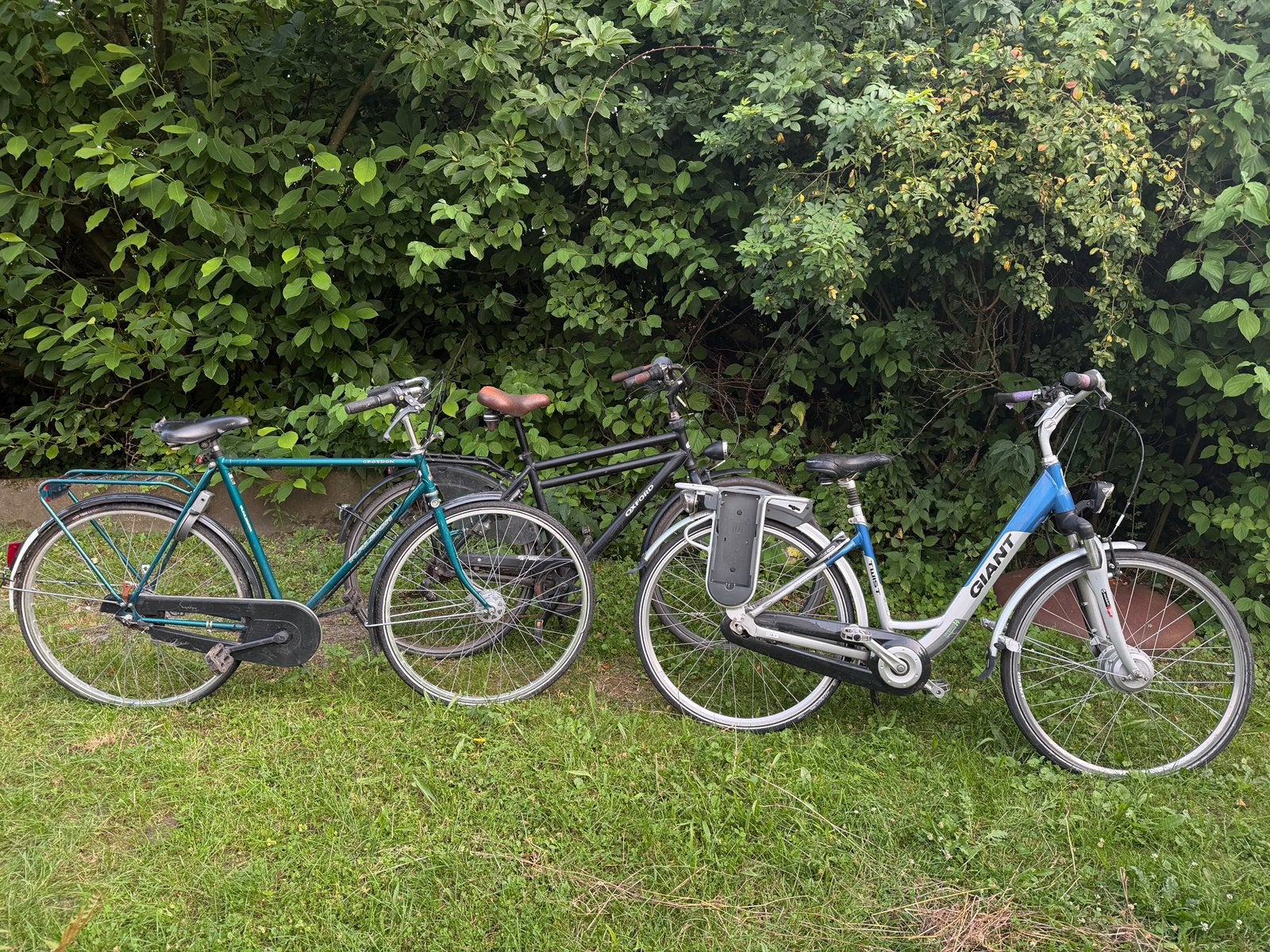 Lot de 3 vélos. 1 vélo électrique 2 vélos pour hommes, Enlèvement, Comme neuf