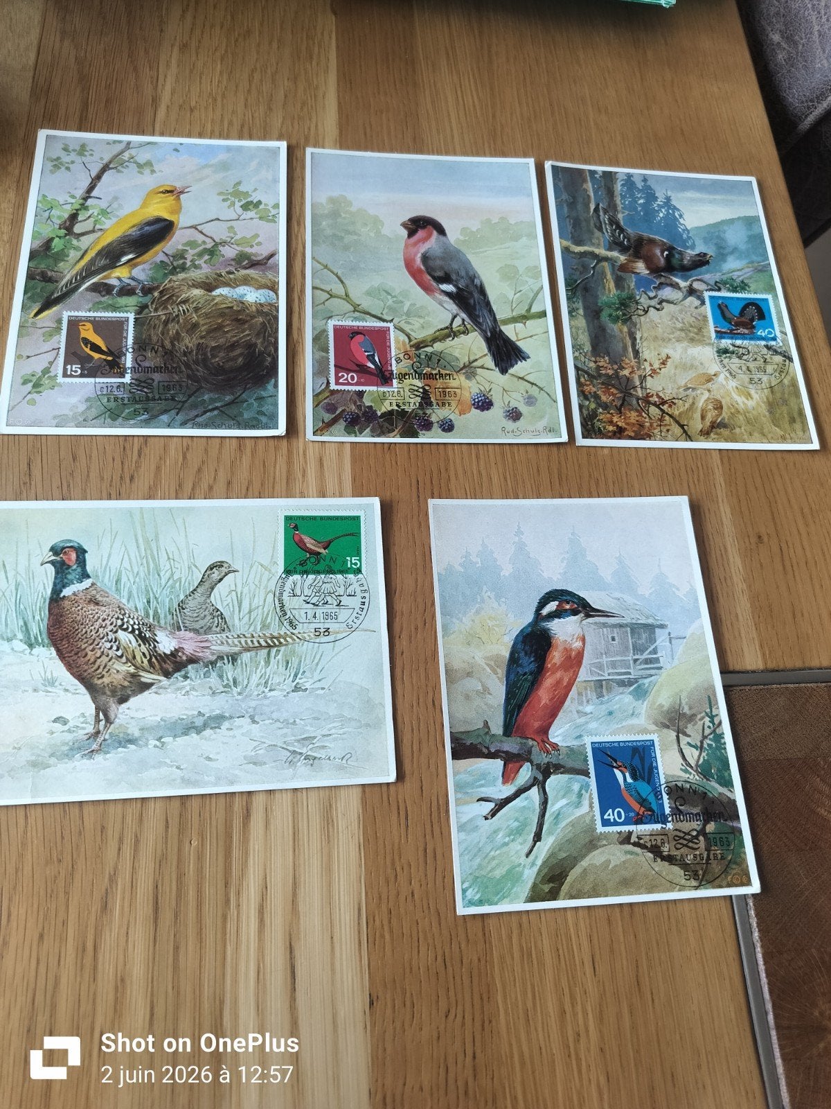 Cartes postales de collection, Verzamelen, Postkaarten | Dieren, Ophalen