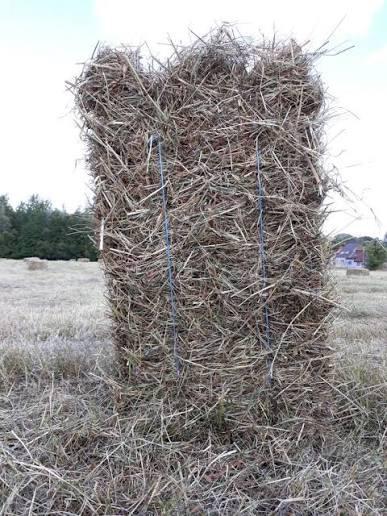 Kleine botjes hooi oogst 2026, Enlèvement