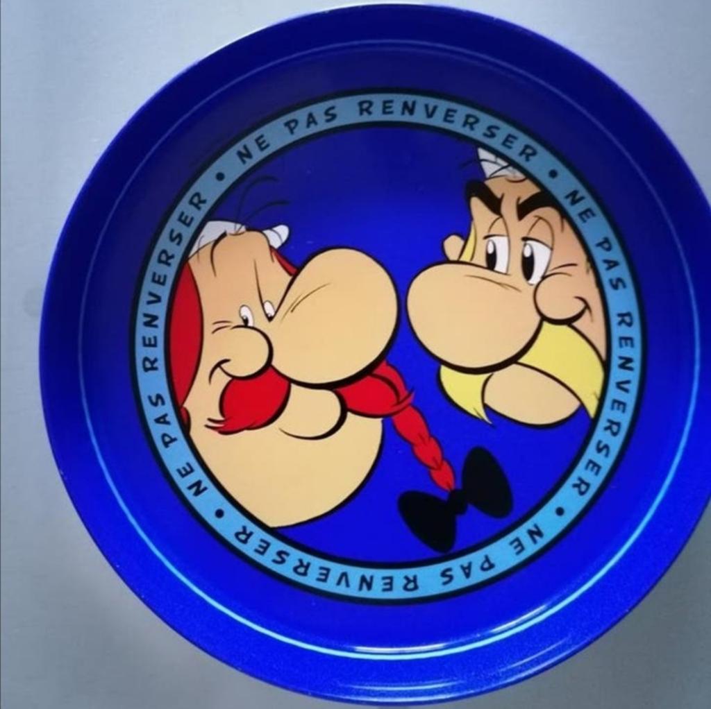 Zeer mooi dienblad vn Asterix en Obelix., Ophalen