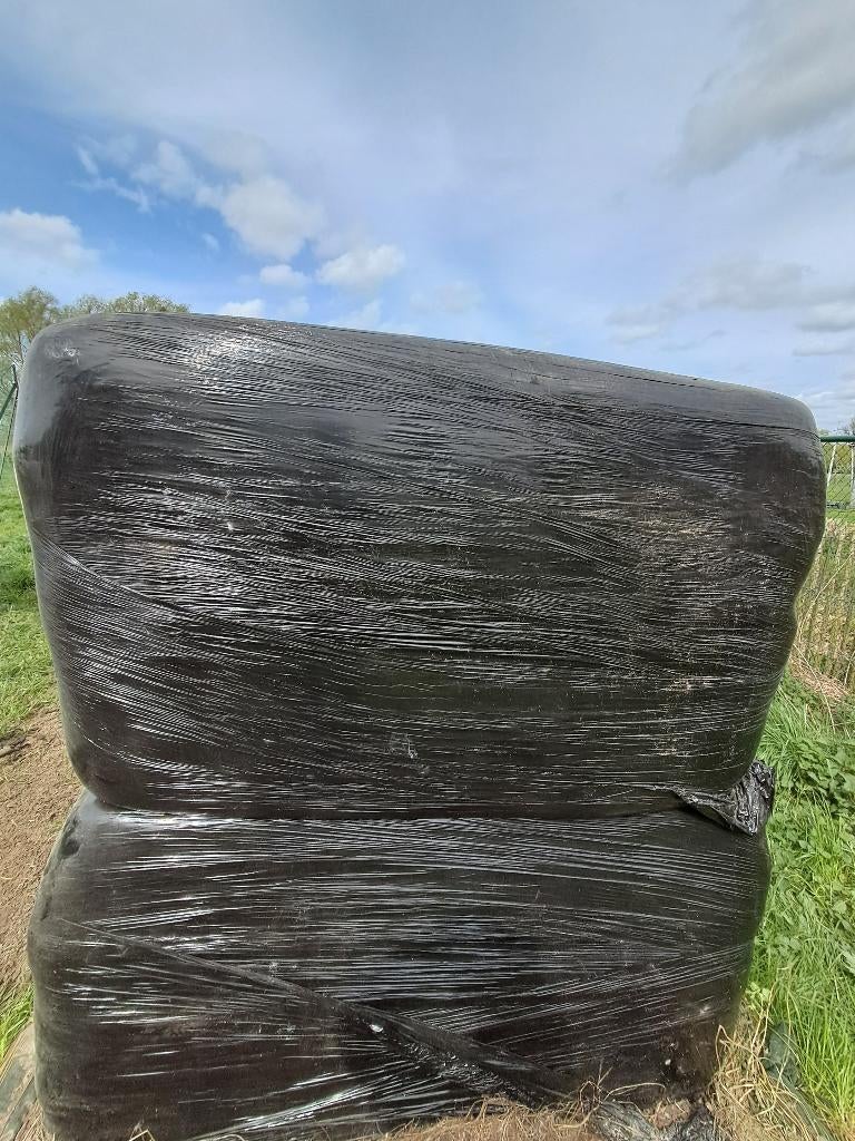 Voordroog te koop, Enlèvement