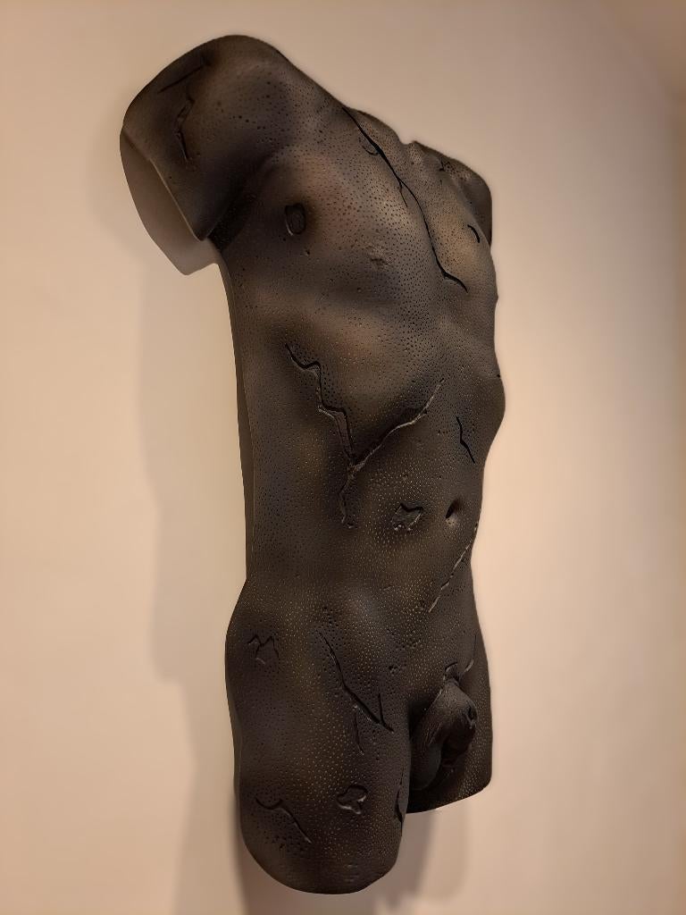 Mannelijke Torso, Ophalen, Nieuw, Mens