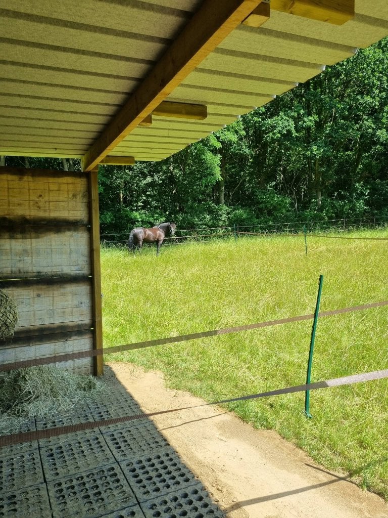 weidepension regio Holsbeek, Dieren en Toebehoren, Stalling, 1 paard of pony